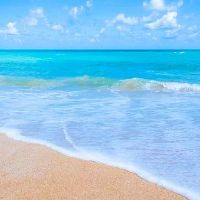 下个月几个星座将迎来旺盛的桃花运