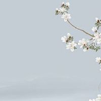 测测你命中注定的姻缘 八字看对方事业财富