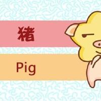 今日生肖相冲查询 2022年7月21日农历六月二十三