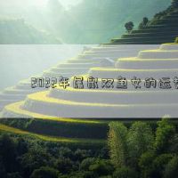 大鼠双鱼座女人在2022年的财富