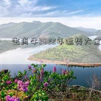 黄道牛2022财富桌