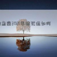 双鱼座的双鱼座2021年怎么样