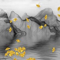 车牌带两个6好还是三个6 节节攀升的旺运车牌