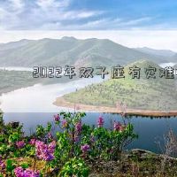 双子座在2022年是否有灾难？