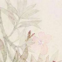 旺财大门尺寸 建造大门需注意坐向是否正确