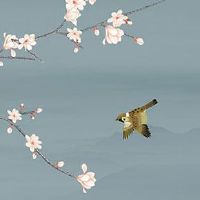 1966年属马人终身寿命 晚年健康运势表现一般