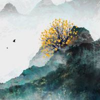 扫把眉是不是没救了 反思自己才能命运扭转