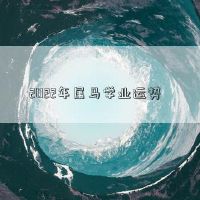 2022年属于Ma Xuexue的财富