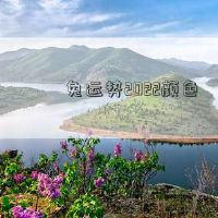 兔子运气2022颜色