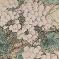 1983属猪手机吉利尾数 一生旺属猪人的手机尾数