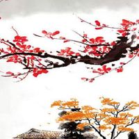 七夕节过农历还是阳历 七夕节是中国的情人节吗