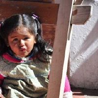 女孩带木字旁漂亮有涵养的名字