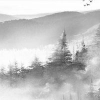 车牌号尾号46好吗 吉利车牌尾数