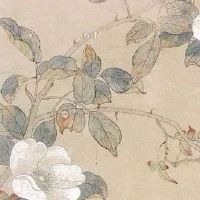 官杀混杂的女命有钱 天资聪颖财运多