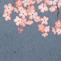 2022年8月几日出生的男孩好 上等生子吉日查询