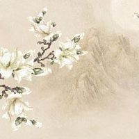 婚姻宫被合化代表什么 八字婚姻宫怎么算