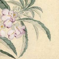 十二月二十三易亚什么时候,时间忌宜查看