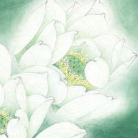 2022年农历十一月十一日子吉利吗 是结婚嫁娶吉日么