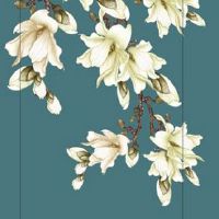 车牌号凶咋化解 车牌号码69为啥不吉利