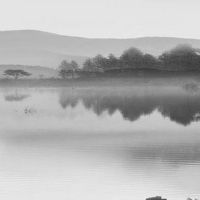 车牌号两个6好吗 有助于促进车主运势顺畅