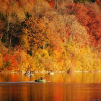 什么星座男孩最适合天秤女