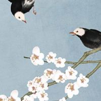 八字详解(免费版) 怎么看俩人是否真的有缘分