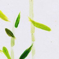 七夕节出生的女孩命运好不好 成年之后婚姻幸福