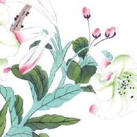 怎么测试车牌号码好不好 看车牌是否有吉利数字