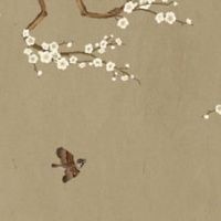 车牌号633寓意 代表天生福址 大都终世平安