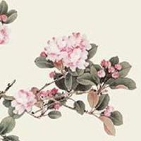 和餐饮有关的公司名字 高档的饮食企业起名合集