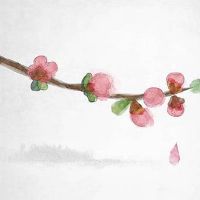 车牌号最后一个是0好吗 必定会有贵人鼎力支持