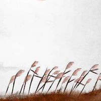 车牌号7放在首位好不好 利于父母的身体健康