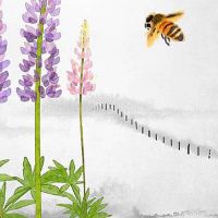 车牌号最吉利的数字7 在投资理财方面获利不少