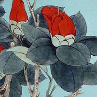 免费测夫妻名字看婚姻 姓名配对小测试