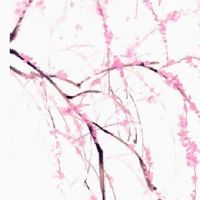 手相三奇纹介绍 有权有势事业兴旺发展