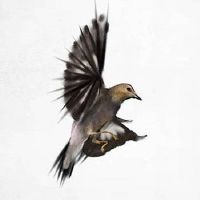 车牌号打分测试最准确 车牌号开头是0好吗