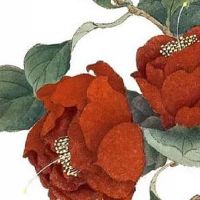 标准三奇纹手相 贵人相助事业发展事半功倍