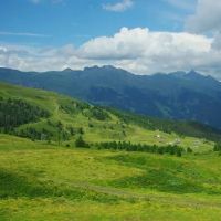 卯时和酉时的婚姻是否合适