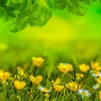 卯时和戌时这两个时辰出生的命主能否配对