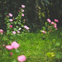 八字如何推测财运 八字看正财运VS偏财运