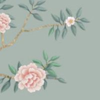 风水三合局是什么 三合局与三会局的区别