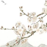 2023年兔年对狗好不好 吉祥顺利运势佳