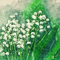 五行属木和属金的婚姻情况 最适合属木人的婚配对象