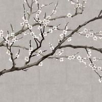 夫妻宫被大运冲必离婚吗 夫妻宫相冲的解决办法