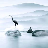 2022新注册公司名称大全 热门的企业名字怎么起