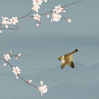 最佳夫妻属相婚配表 生肖婚配民谣