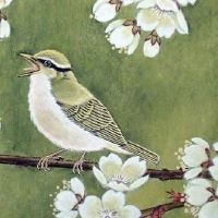 逢九27岁不能结婚 27岁不能结婚的说法由来和真伪