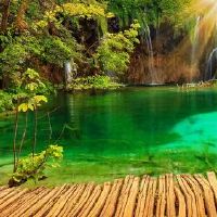 寅时和亥时的婚姻情况合适吗