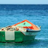 白羊座的性格特点 敢于创新暴躁易冲动