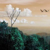 2022年7月8日出生的宝宝五行缺木女生名字 五行取名推荐